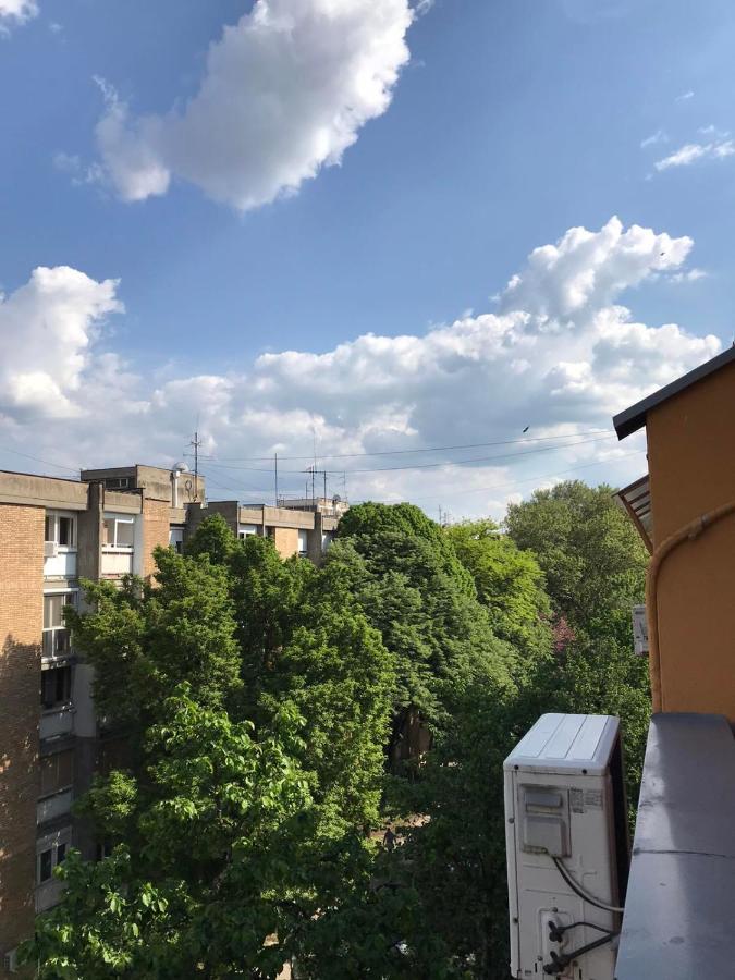 Apartman Kej 노비사드 외부 사진